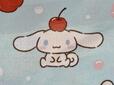 推しのシナモンも登場。頭にチェリーをのせてお座りしています。かわいさの暴力!