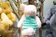 ピグレット ぬいぐるみ 100 Years of Winnie the Pooh 3,800円