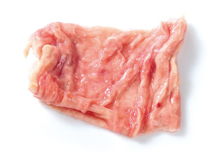 全部知ってたらかなり 肉通 部位別 豚ホルモン 全16種 食感と美味しさを比べてみた 3 3 うまい肉
