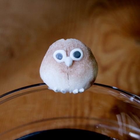 鳥がフチに止まります