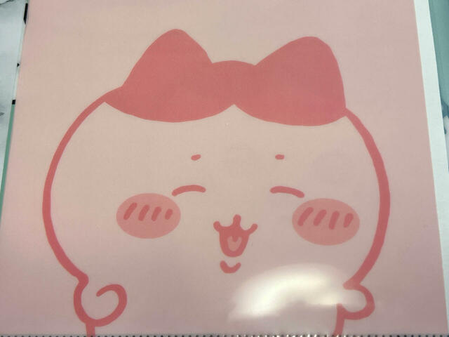 いつものハチワレの笑顔も、尊敬するラッコの隣にいるとより輝きますね♪