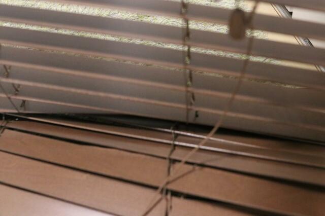 【ニトリ 木製ブラインド(ヴェントMBR 60x138)】少し大きめでOK