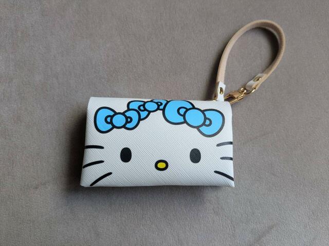 『mini』5月号付録「みずいろ ハローキティのサフィアーノレザー調マルチケース」