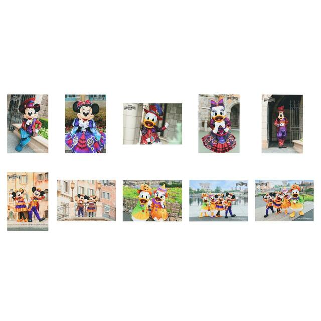 写真セット 3,200円｜東京ディズニーリゾート「ディズニー・ハロウィーン」スペシャルグッズ｜販売店舗：東京ディズニーランド「ディズニー＆カンパニー」、東京ディズニーシー「エンポーリオ」｜発売日：2025年9月16日（火）