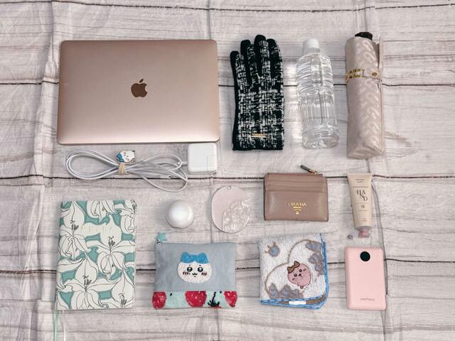 これだけの荷物がラクラク収納できました!