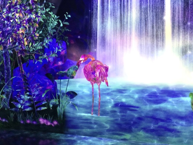 アプリと連動させて動物を集めよう！