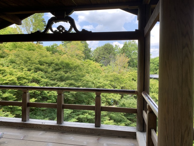 天通橋から見た青紅葉