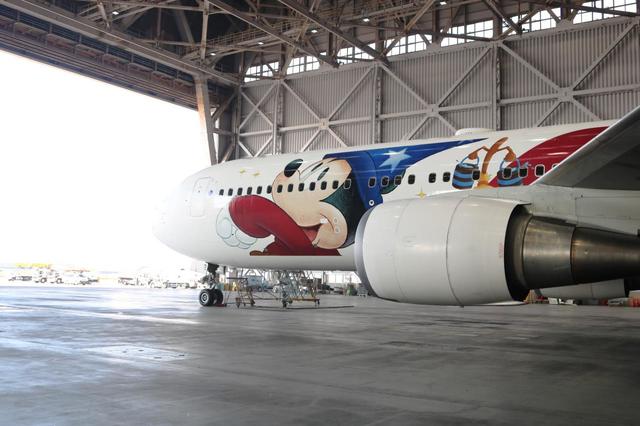 JAL DREAM EXPRESS FANTASIA 80