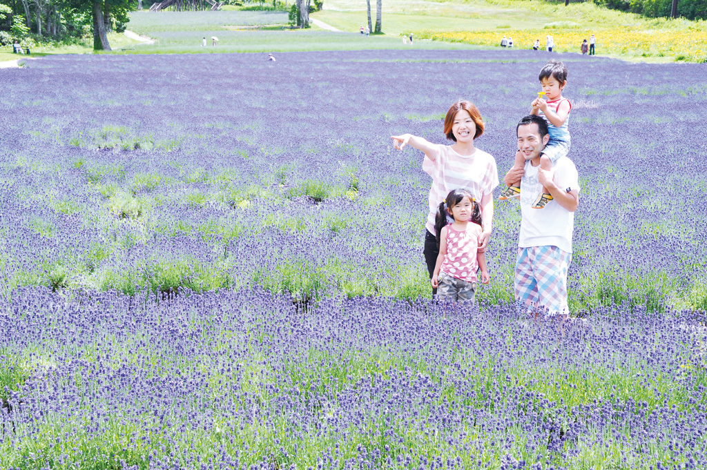 たんばらラベンダーパーク 関東最大級 紫色の じゅうたん 絶景の見頃と記念撮影ポイント 1 3 ハピママ