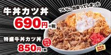 牛丼カツ丼
