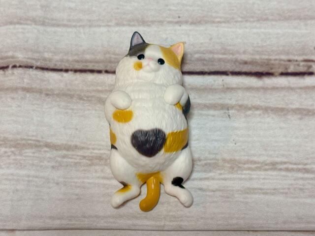 お腹の模様に注目！ハート柄がかわいい♪