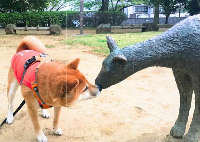 【愛犬を可愛く撮影する方法】二分割構図はバランスのよい写真に