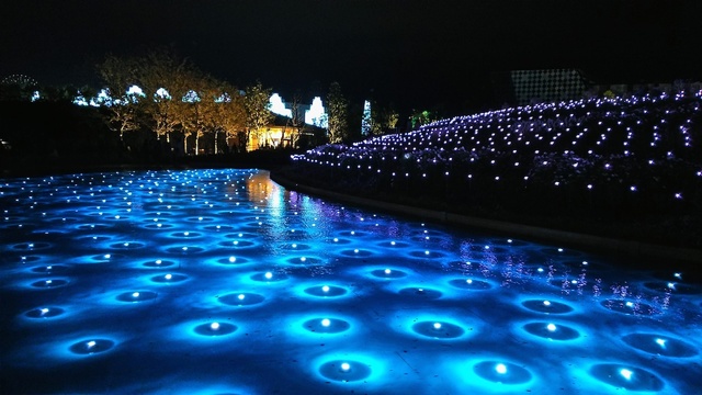 フラワーラグーン イルミネーション