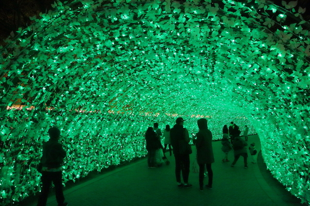 ゆっくりと新緑の色に変化