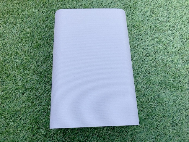 【カインズ 立つちりとり】つるんとしたフォルム