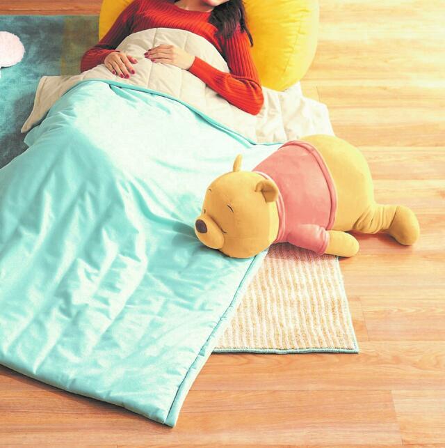 ほんわかカラーのもちもち抱き枕 5,990円