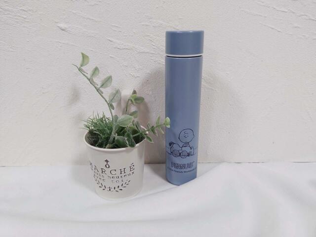 裏面：チャーリー少年とスヌーピーがかわいい