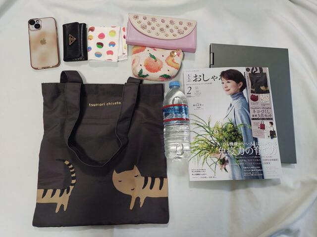 ノートパソコン、雑誌も入る