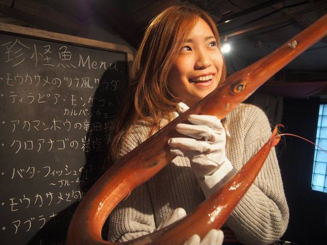 過去のイベントの模様