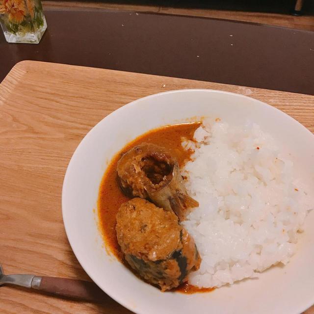 【カルディ さばカレー】大きなサバがごろっと2つも！