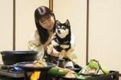 人気の「愛犬と泊まれる温泉旅館」♪ “オトクな新プラン”でお部屋でもずっと一緒！
