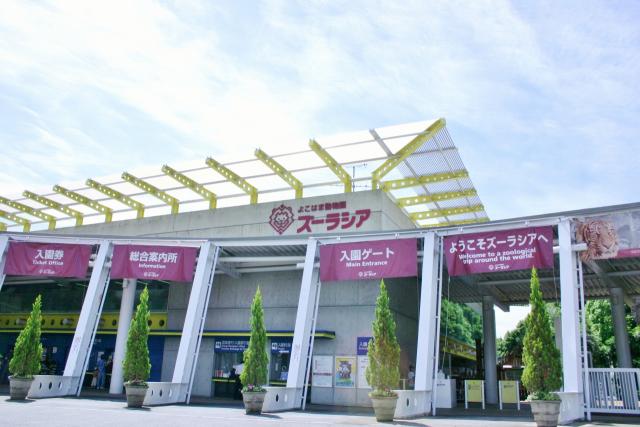 よこはま動物園ズーラシア