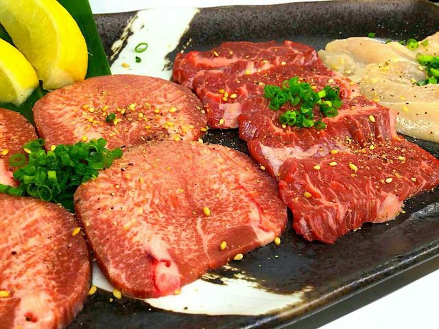 タン・ハラミ・ささみ