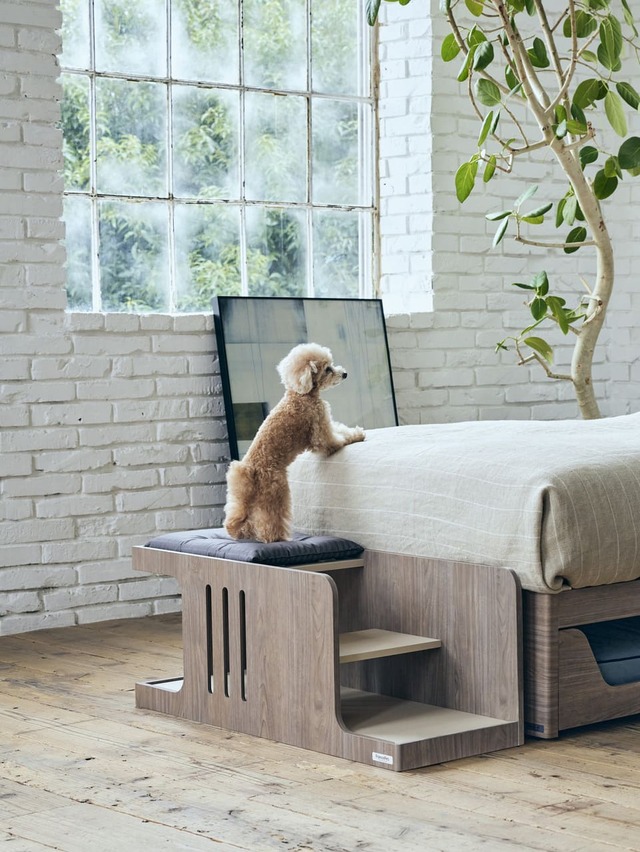 【フランスペット】「ペット ステップベンチ」