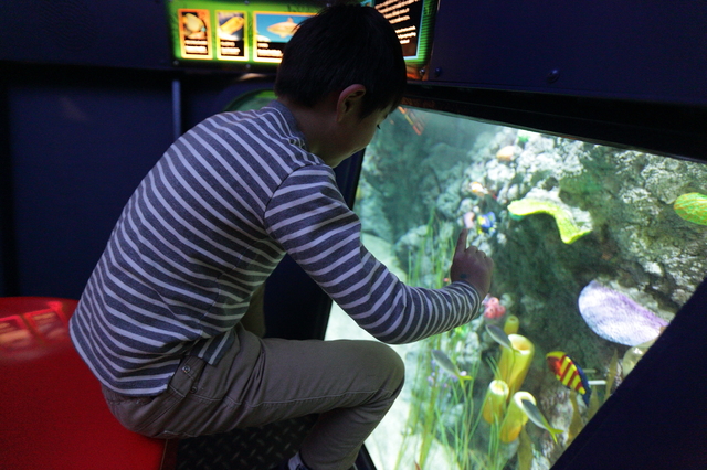 サブマリン・アドベンチャー