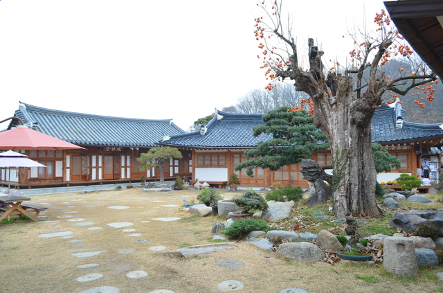 よく手入れされている韓式民泊の庭