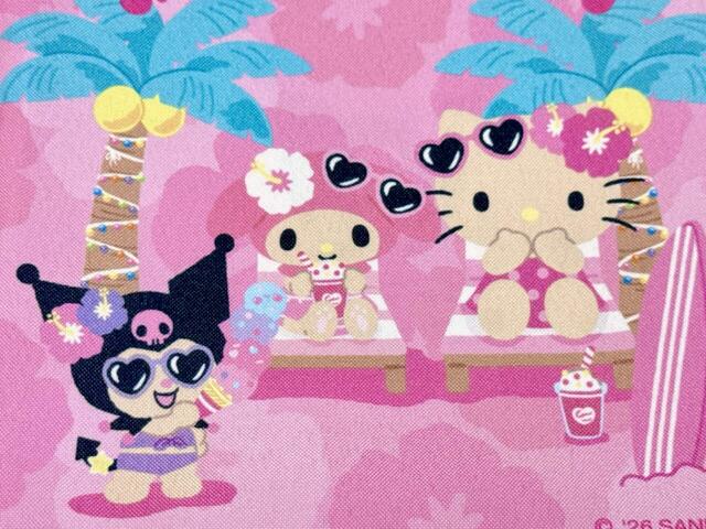 アイスをたくさん持ってるクロミがかわいい!