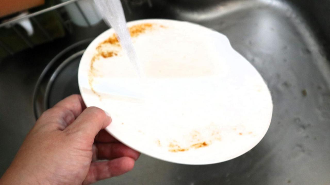 洗剤不要の食器「洗わないお皿」に主婦歓喜!すすぐだけで油汚れもピカピカに(写真 11/25) - ハピママ*