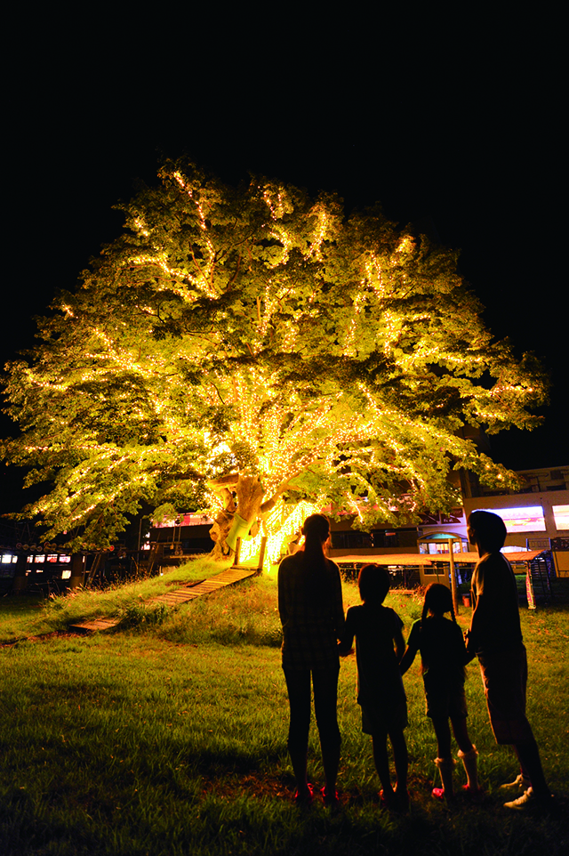 苗場サマーパーク　