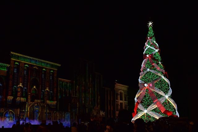 一生に一度は見たいクリスマスツリー｜ユニバーサル・ワンダー・クリスマス｜ユニバーサル・スタジオ・ジャパン