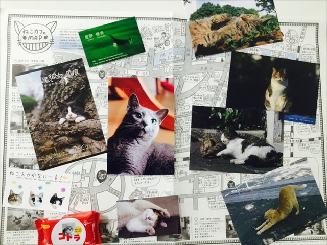 ねこログ展でいただいた猫グッズ