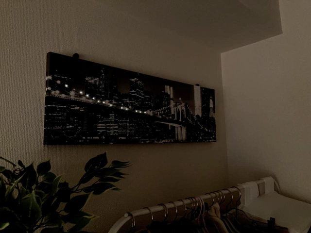 【ニトリ　LED付きキャンバスポスター】橋の明かりが順番に光ります