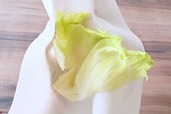 【野菜・肉の便利な冷凍保存術／レタス】キッチンペーパーでしっかり水気を拭き取ります