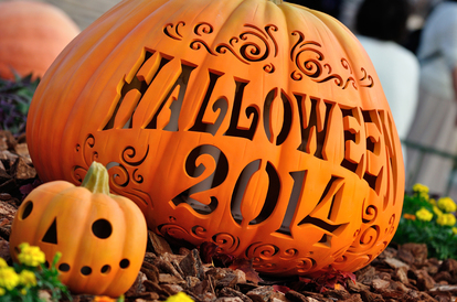 Tdr 毎週末が入園制限レベルの混雑 月曜も要注意 14年10月混雑対策まとめ 1 3 ディズニー特集 ウレぴあ総研