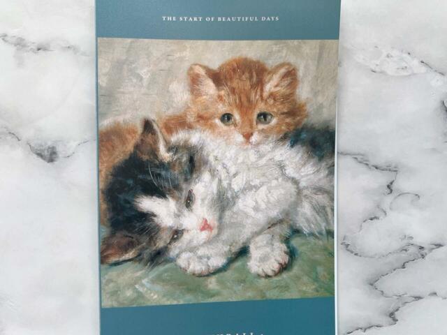 もふもふの子猫2匹が愛らしいですね♪