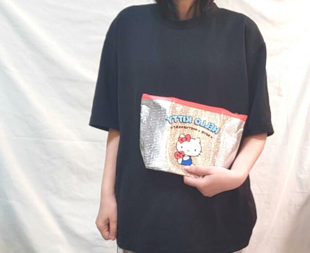 保冷ポーチも、持ち運びやすいサイズ