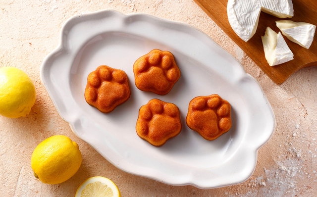 【東京ギフトパレット / ネコシェフ】「フィナンシェ」5個入 1,296円、12個入   3,078円