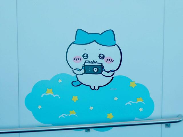 「空の上の記念撮影」近くには、カメラつながりなのかハチワレがいっぱい！壁にもハチワレがいます♪