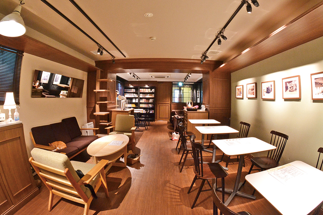 カフェきゃらふ／オシャレな店内では、種類豊富なガレット（800円～）や浅草風半熟パンケーキ（900円）などが味わえる。