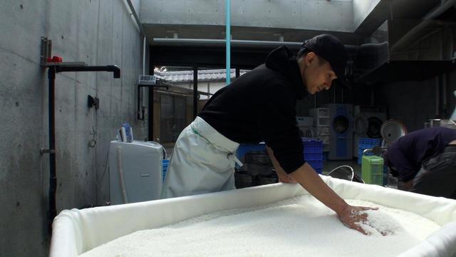 酒米の糠（ぬか）を洗い落とした洗米の後は水切りをして翌日の蒸米に備える。