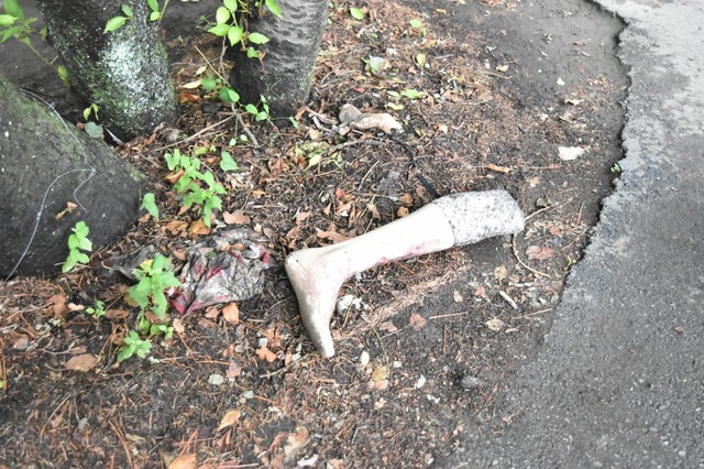 ほらあの足がまた・・・