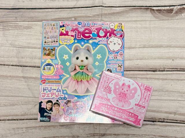 2025年8月26日（金）に発売された『Aneひめ　Vol.19』税込1,980円