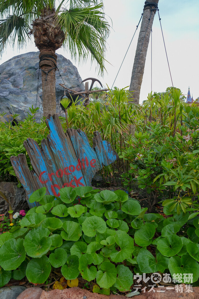 ピーターパンのネバーランド