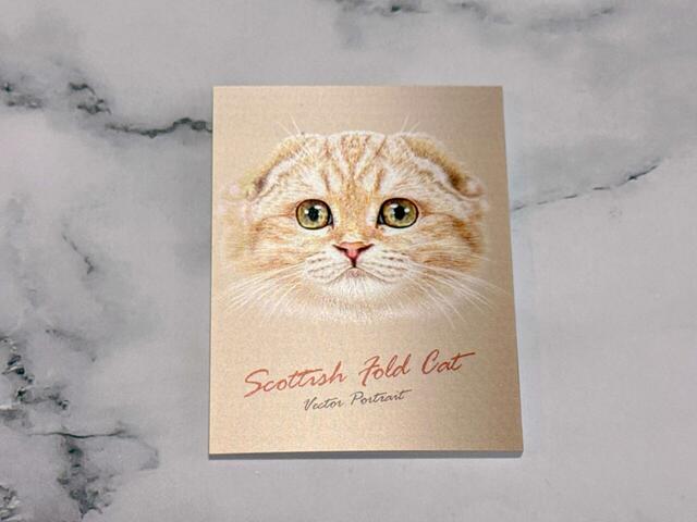 【カルディ キャット メモパット チョコレート】メモパットは全8種類。1点目はスコティッシュフォールドをゲット！