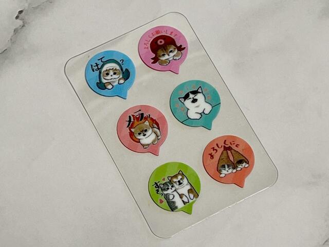 【Seria（セリア）】人気のサメにゃんもいますよ♪