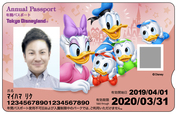 東京ディズニーランド年間パスポート